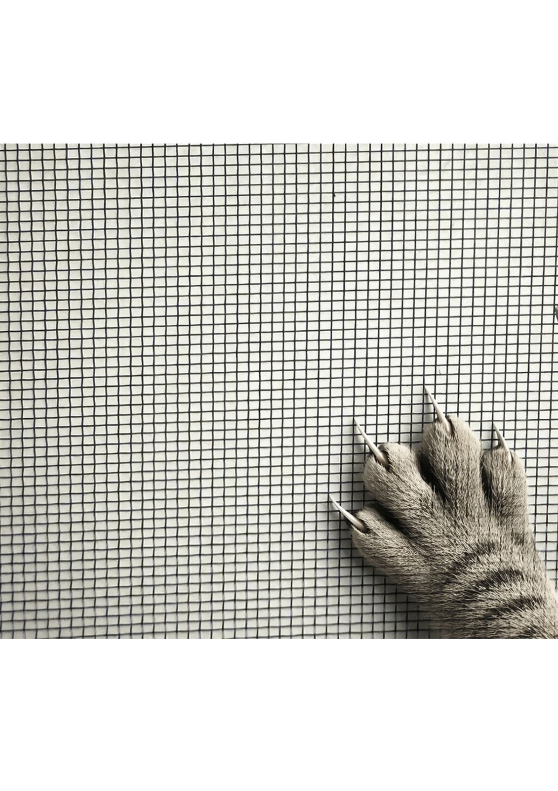 Close-up of the sturdy Pet-Friendly Mesh weave